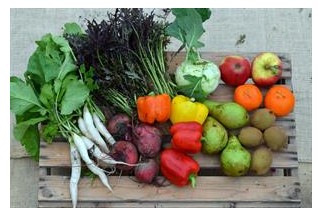 Combi groenten/fruit (2 personen) p./tas
