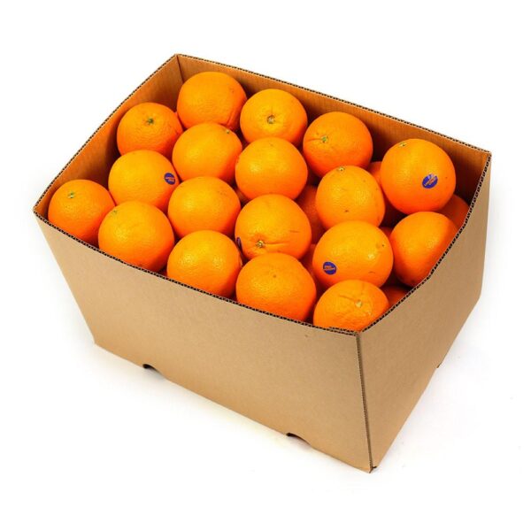 Perssinaasappels kist 15 kg.