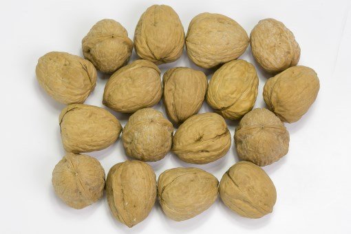 Walnoten (met dop) doos 25 kg.