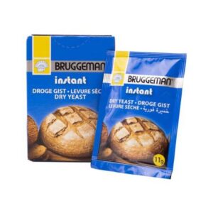 Gist droog 5x11 gr.
