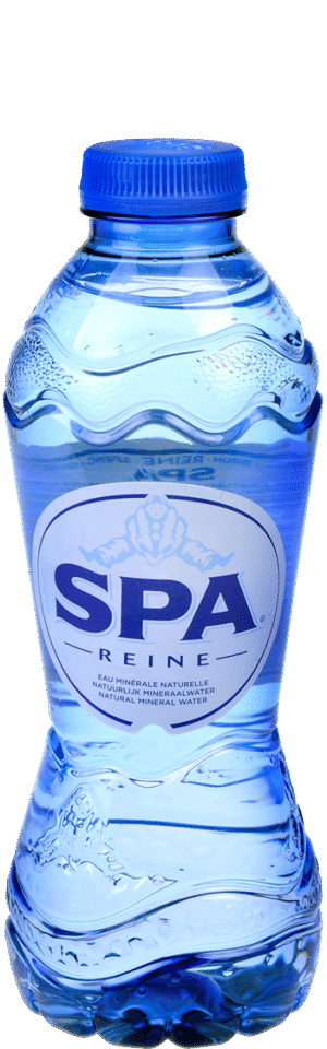 Chaudfontaine blauw PETfles 24x0,33 ltr