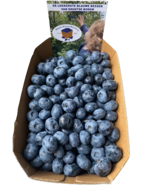 Blauwe Bessen 500gr Blauwebesboerderij