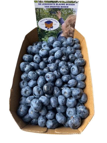 Blauwe Bessen 500gr Blauwebesboerderij