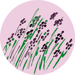 Thee Drentse Heide (z) 75 gr.