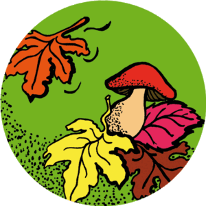 Thee Herfstmagie  (z/bio) 80 gr.