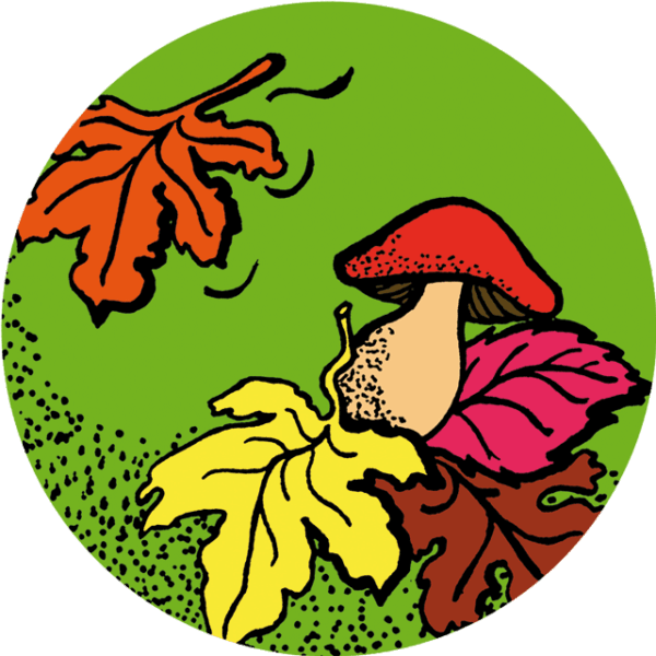 Thee Herfstmagie  (z/bio) 80 gr.