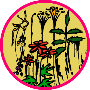Thee Kruidenhofje (k/bio) 50 gr.