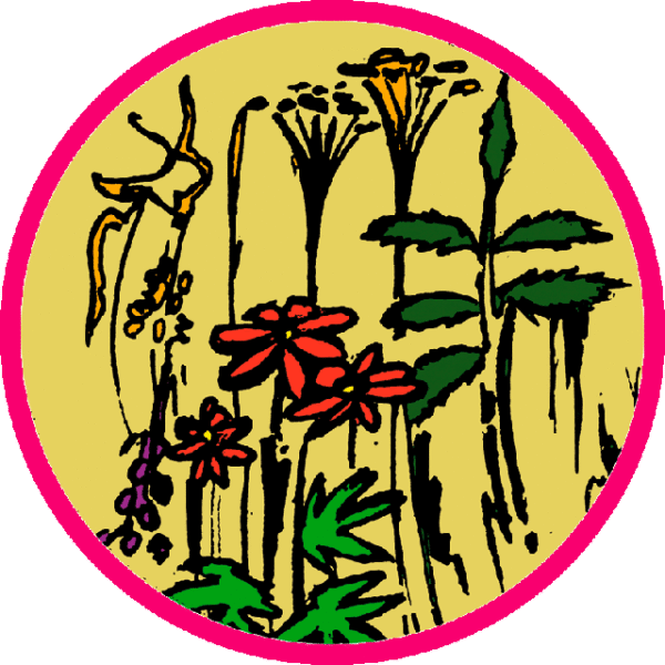 Thee Kruidenhofje (k/bio) 50 gr.