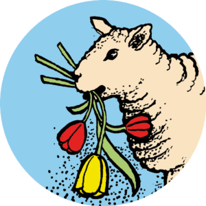 Thee Turkije- pure zwarte thee 75gr