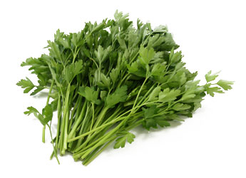 Blad peterselie bos 100 gr.