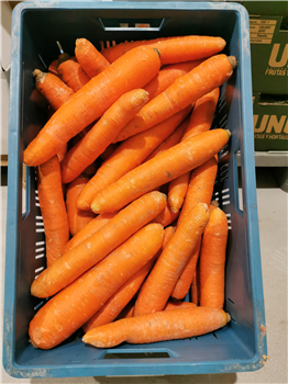 Winterpeen oranje 20 kilo p/kist