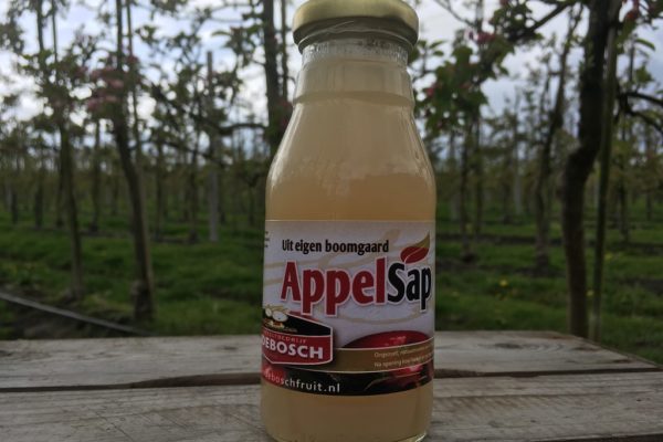 Fruitsap 100% appel 0,25 ltr.