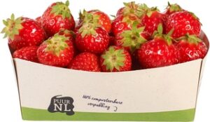 Aardbeien BIO 1x200 gr.
