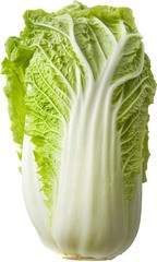 Kool chinese BIO 8x1 stuks