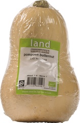 Pompoen Butternut BIO p/st.
