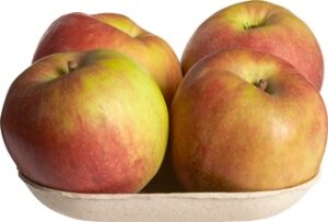 Appel Elstar BIO 1x600 gr.