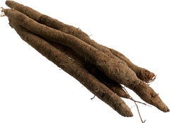 Schorseneren BIO 1x500 gr.