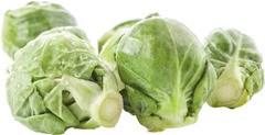 Spruiten BIO 5x1 kg.