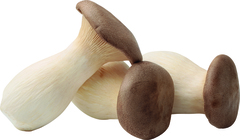 Eryngii BIO 4x150 gr.
