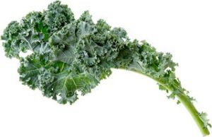 Boerenkool Blad BIO 3x1 kg.