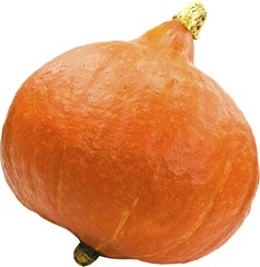 Pompoen oranje grof Demeter 14x1 kg.