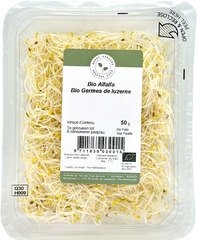 Alfalfa kiemen BIO 1x50 gr.