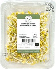 Radijs kiemen BIO 1x50 gr.
