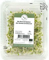 Broccoli kiemen BIO 1x50 gr.