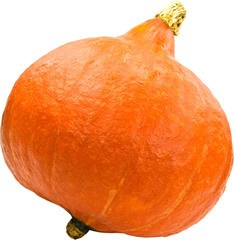 Pompoen Oranje BIO 10x1 kg.
