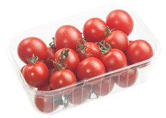 Tomaat Cherry BIO 9x250 gr.