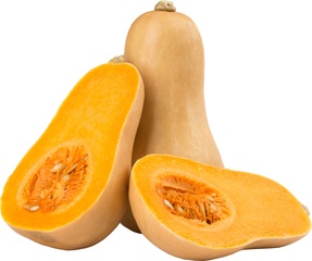 Butternut pompoen BIO 10x1 kg.