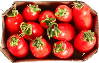 Tomaat Mini San Marzano Demeter 3x1 kg.