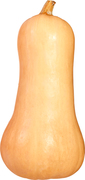 Butternut pompoen BIO 10x1 kg.