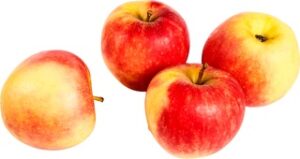 Elstar appels Demeter 11x1 kg.