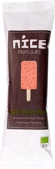 Fruitijs watermeloen munt BIO 24x70 ml.
