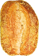 Pane maire wit tarwe mais BIO 4x800 gr.