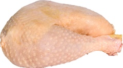 Drumsticks  BIO 1 kg.