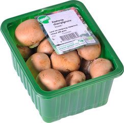 Kastanje champignons BIO 5x250 gr.