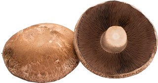 Portobello BIO 1,5 kg.