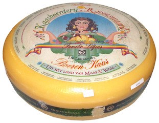 Boerenkaas jong 48 BIO 1x12 kg.