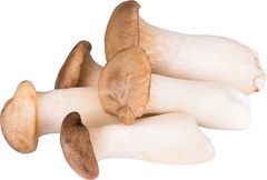 Eryngii BIO 2x1 kg.