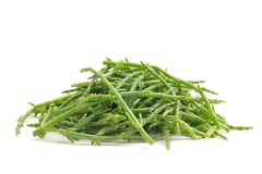 Zeekraal  1x1 kg.