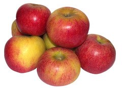 Santana appel Demeter 11x1 kg.