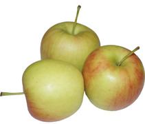 Delcorf appel BIO 11x1 kg.
