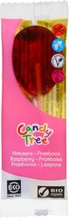 Frambozenlollies BIO 40x1 stuks