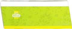 Gist gedroogd klein BIO 40x9 gr.