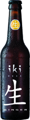 Bier groene thee-gember BIO 1x33 cl