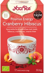 Kruidenthee positive energy BIO 6x30.6 g