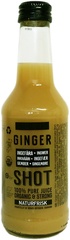 Gembershot BIO 12x250 ml.