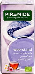 Weerstand BIO 6x26 gr.